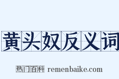 黄头奴反义词是什么意思的图片